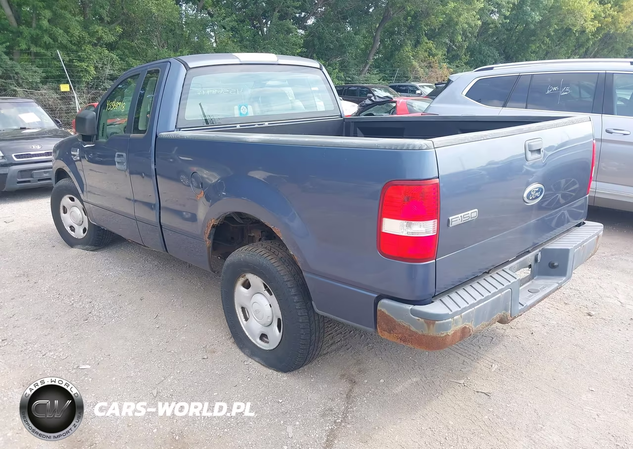 2005 Ford F-150 Stx-Xl-Xlt VIN:1FTRF12W65NA41420 - 3