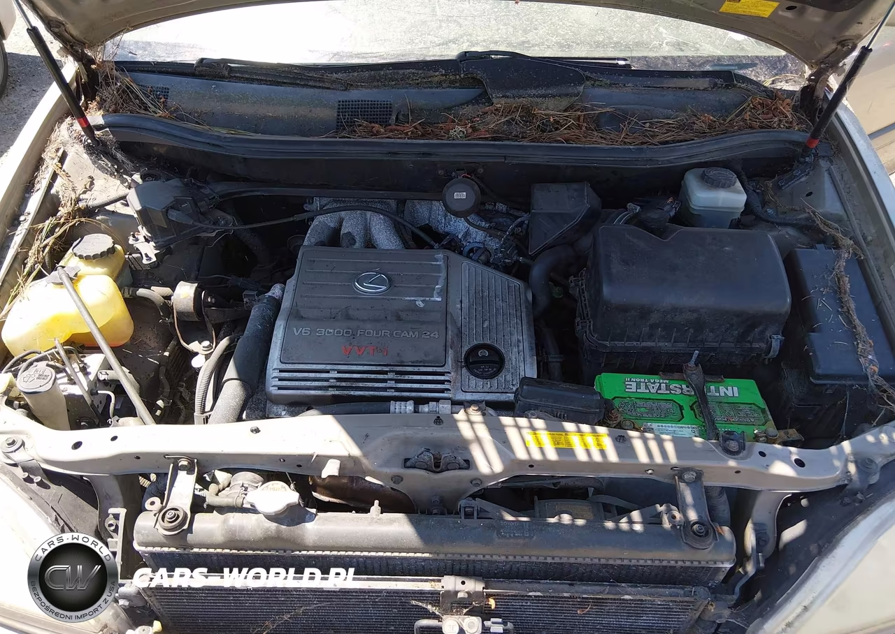 2001 Lexus Rx 300 VIN:JTJHF10U810220480 - 10