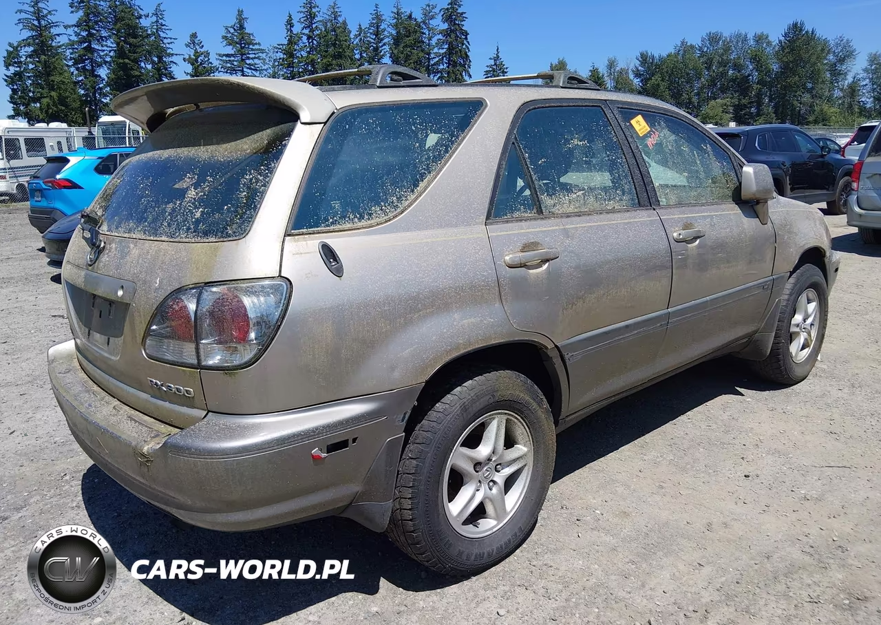 2001 Lexus Rx 300 VIN:JTJHF10U810220480 - 4
