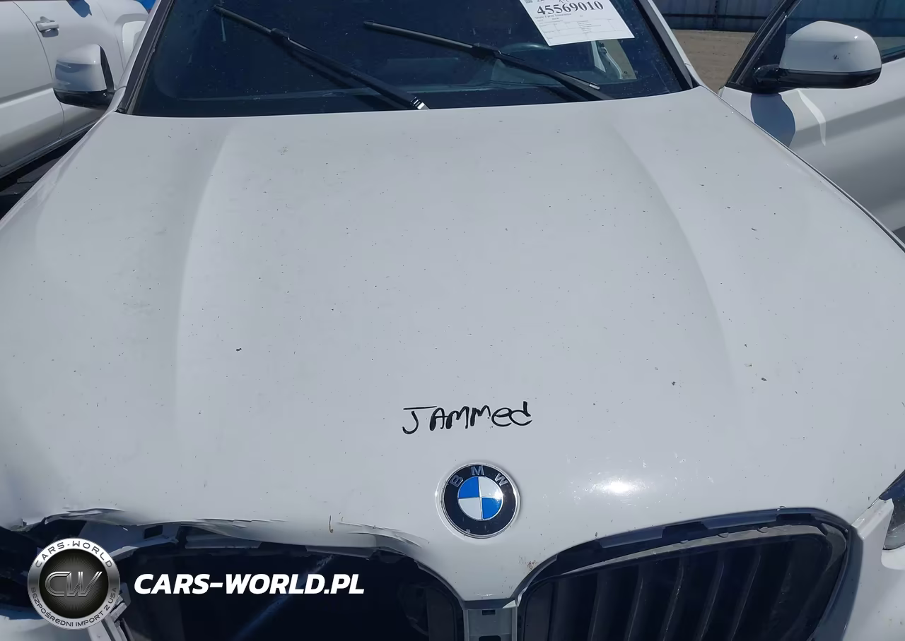 2023 BMW X4 xDrive30I VIN:5UX33DT0XP9S06342 - 10