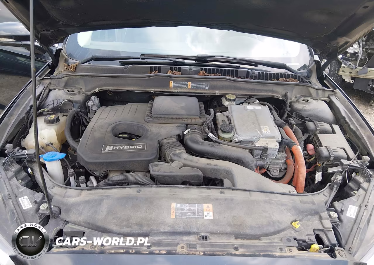 2014 Ford Fusion Hybrid Se VIN:3FA6P0LU5ER254028 - 10