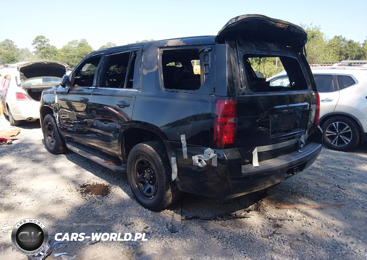 2020 Chevrolet Tahoe 2Wd Commercial Fleet VIN:1GNLCDEC1LR247002 - 3