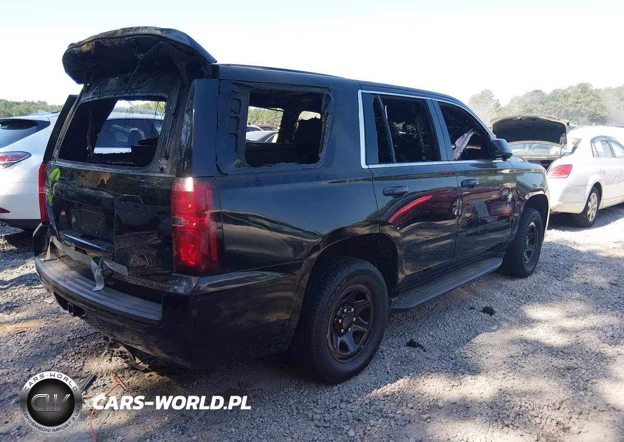 2020 Chevrolet Tahoe 2Wd Commercial Fleet VIN:1GNLCDEC1LR247002 - 4