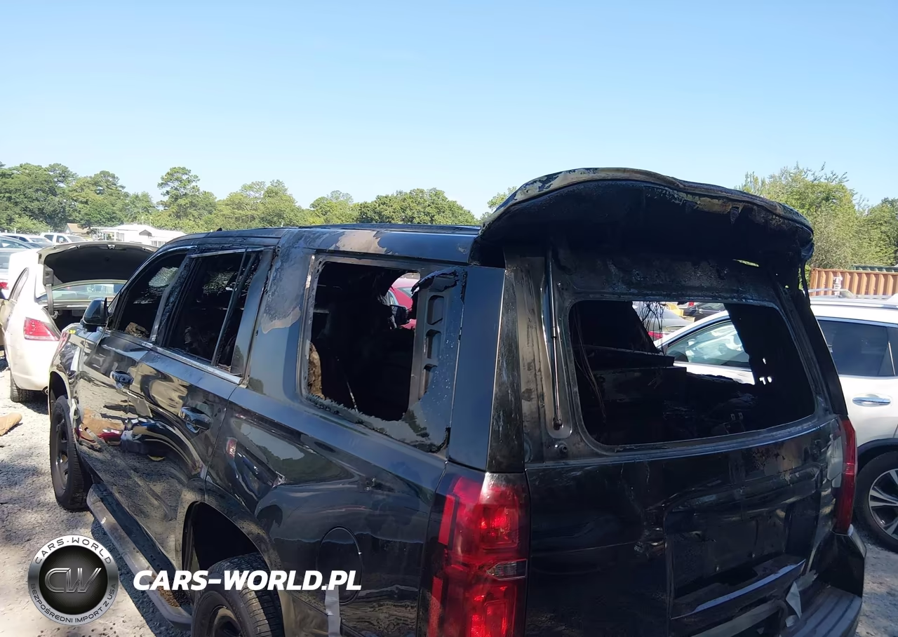 2020 Chevrolet Tahoe 2Wd Commercial Fleet VIN:1GNLCDEC1LR247002 - 6