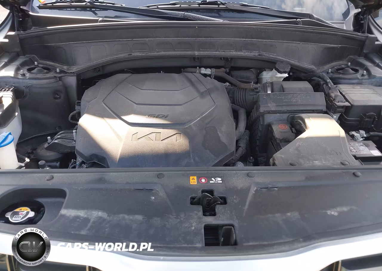 2023 Kia Telluride S VIN:5XYP6DGC6PG341895 - 10