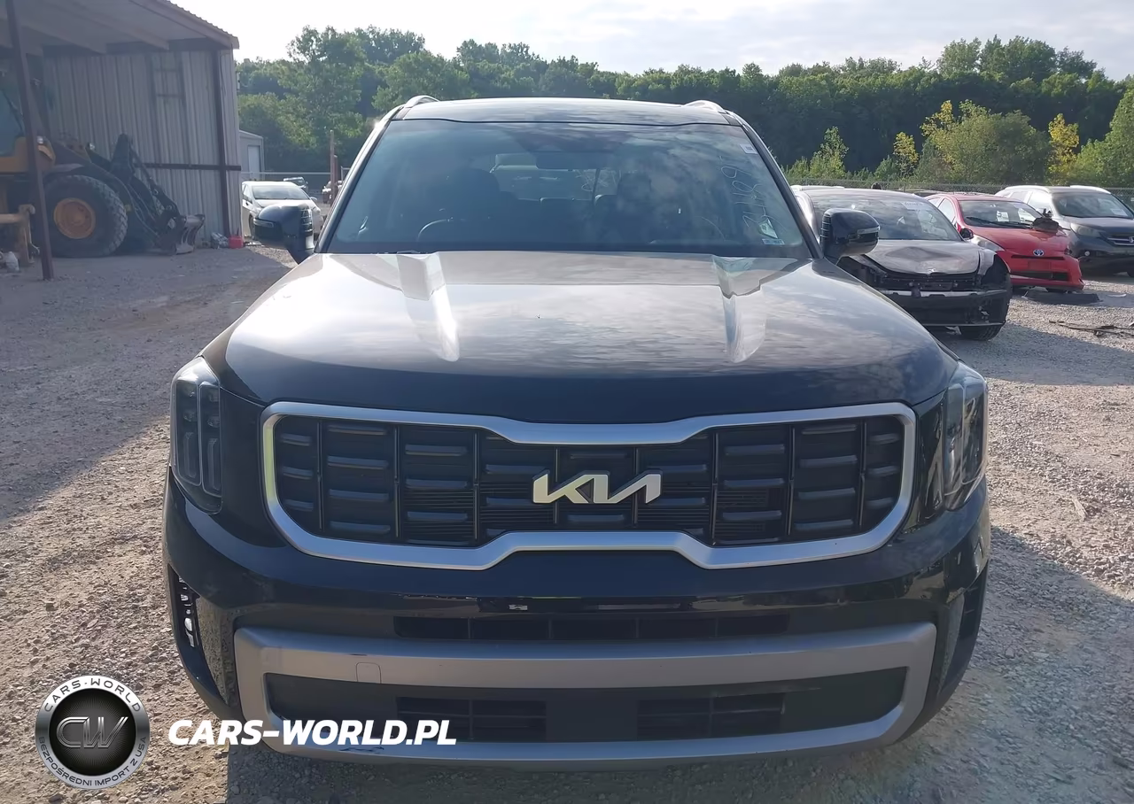 2023 Kia Telluride S VIN:5XYP6DGC6PG341895 - 12