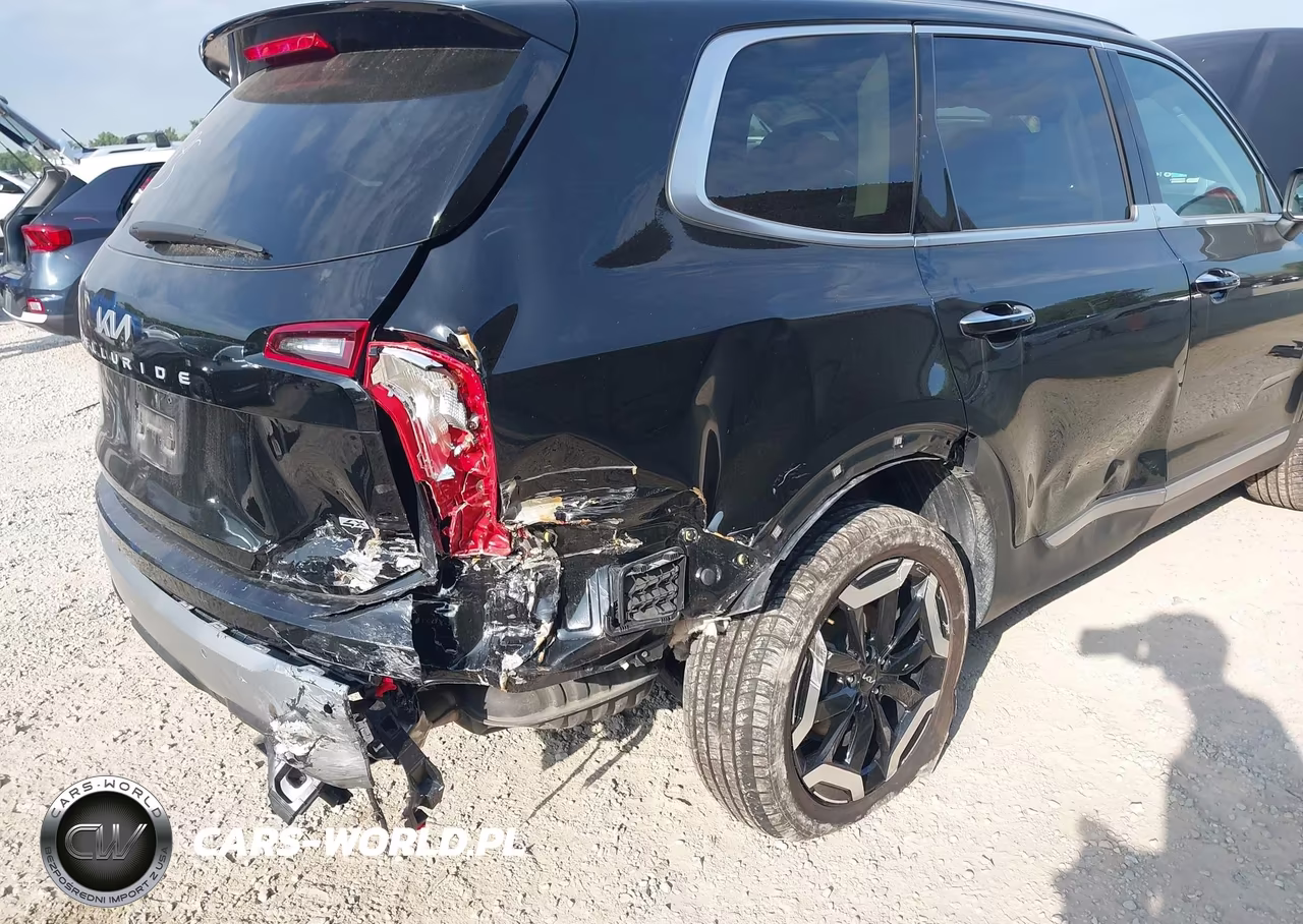 2023 Kia Telluride S VIN:5XYP6DGC6PG341895 - 6