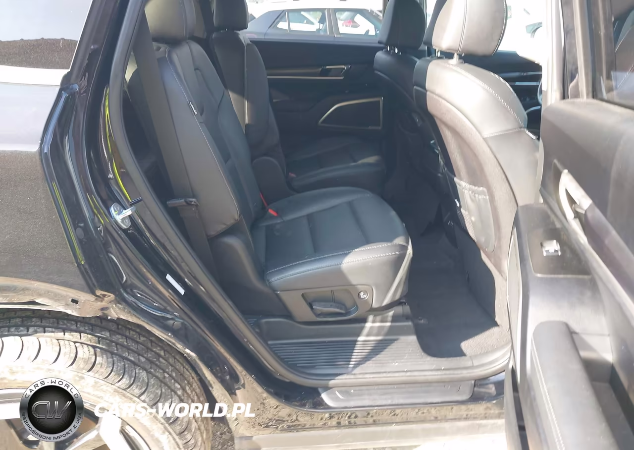2023 Kia Telluride S VIN:5XYP6DGC6PG341895 - 8