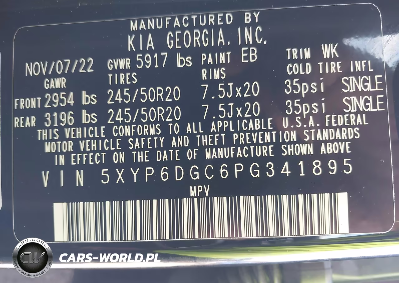 2023 Kia Telluride S VIN:5XYP6DGC6PG341895 - 9
