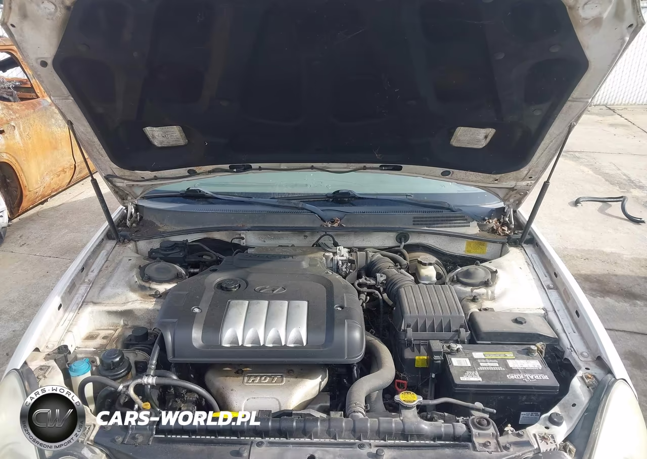 2004 Hyundai Sonata VIN:KMHWF25S84A044676 - 10