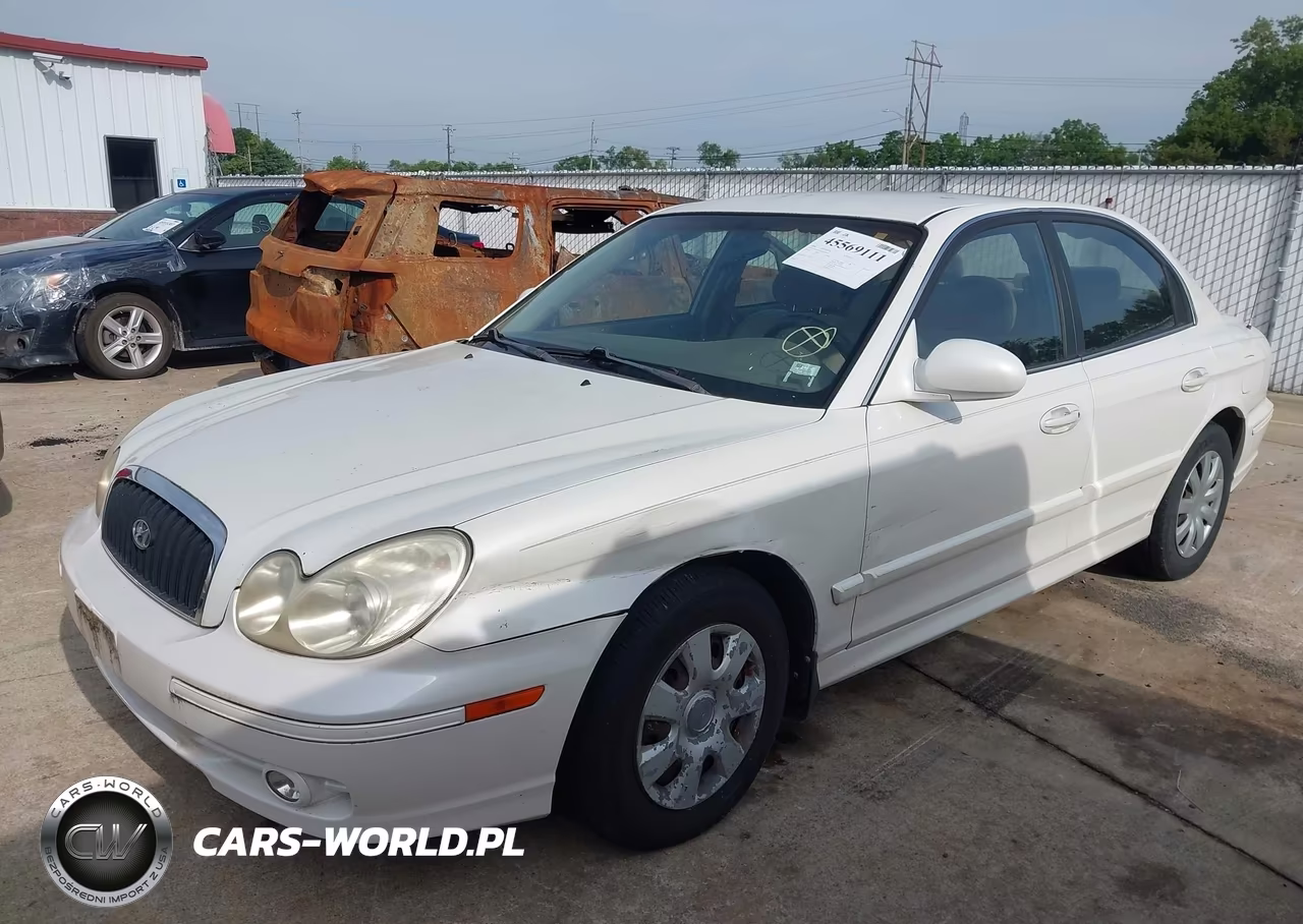 2004 Hyundai Sonata VIN:KMHWF25S84A044676 - 2