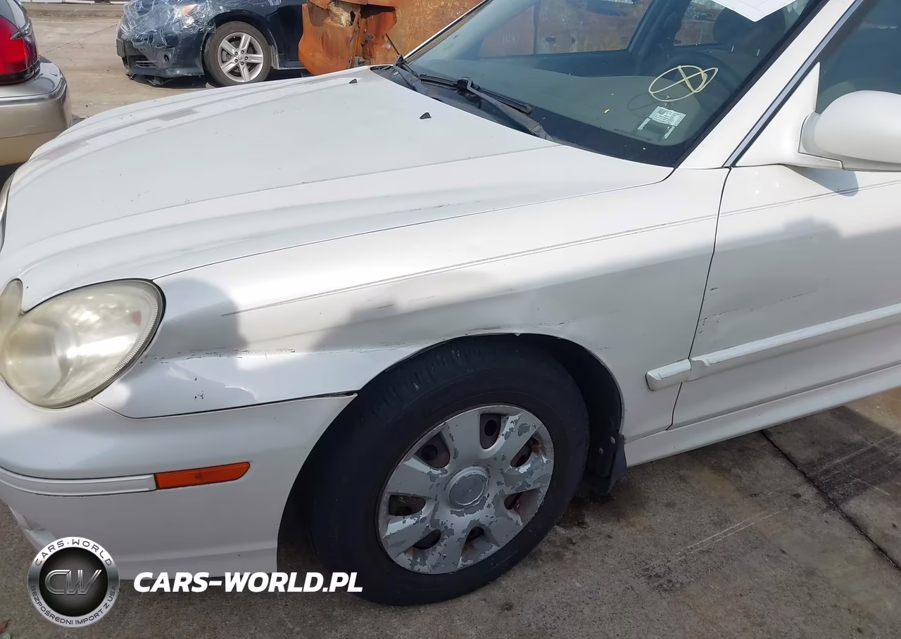 2004 Hyundai Sonata VIN:KMHWF25S84A044676 - 6