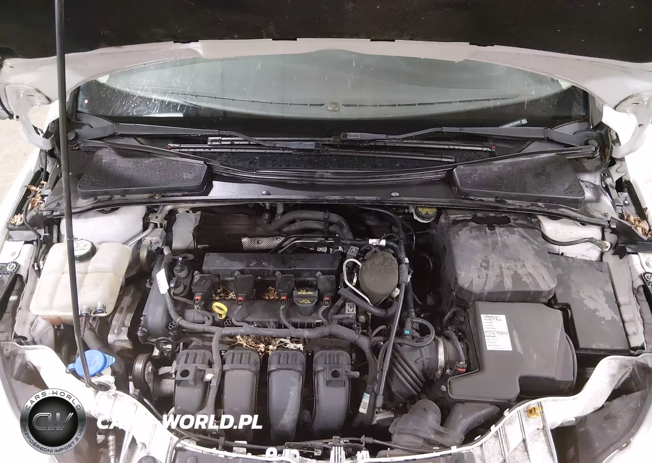 2013 Ford Focus Se VIN:1FADP3K24DL234410 - 10