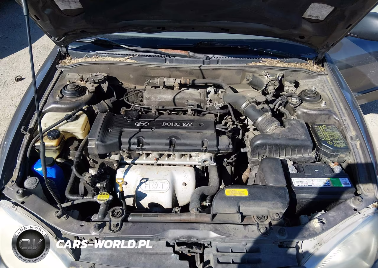 1999 Hyundai Elantra Gl VIN:KMHJF25F8XU781585 - 10