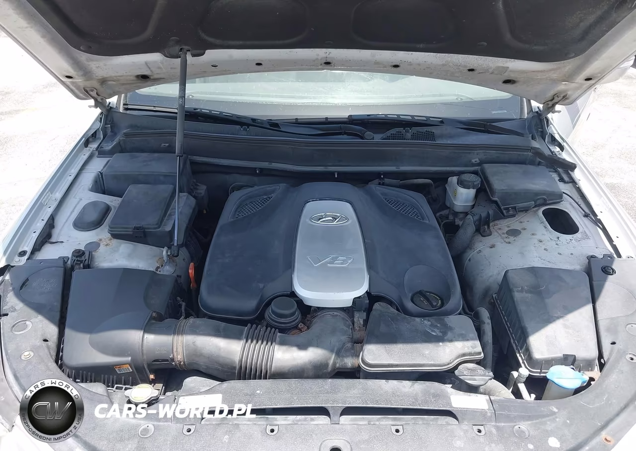 2009 Hyundai Genesis 4.6 VIN:KMHGC46F39U055200 - 10