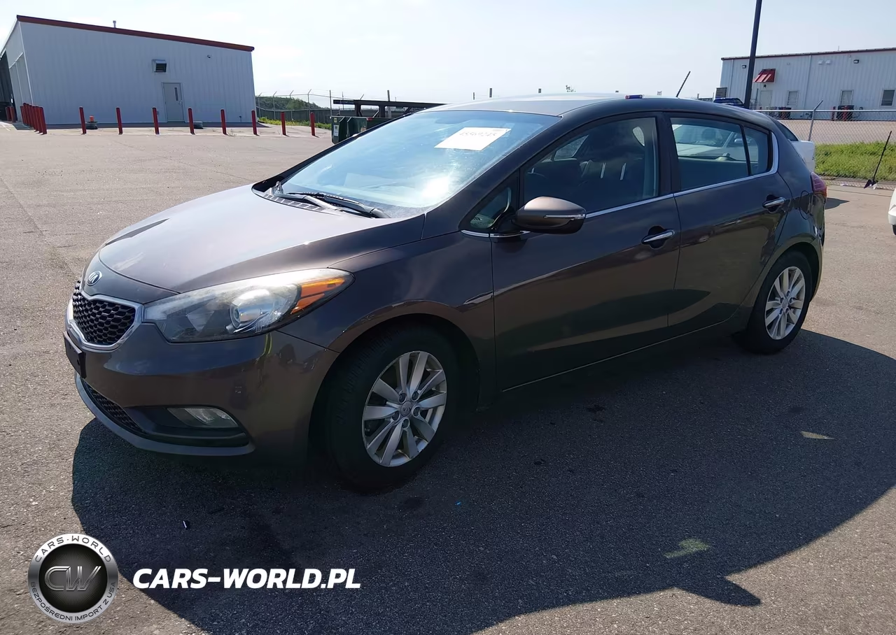 2014 Kia Forte Ex VIN:KNAFX5A86E5163248 - 2