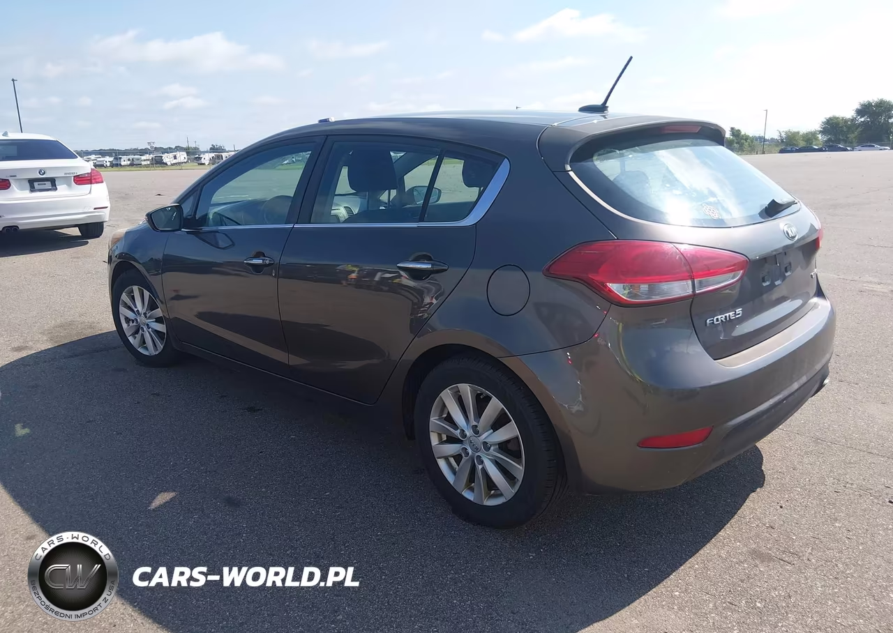 2014 Kia Forte Ex VIN:KNAFX5A86E5163248 - 3