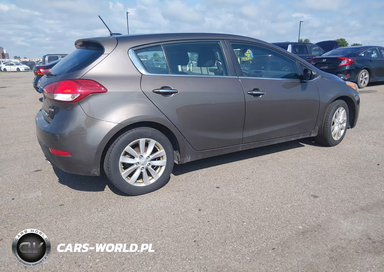 2014 Kia Forte Ex VIN:KNAFX5A86E5163248 - 4