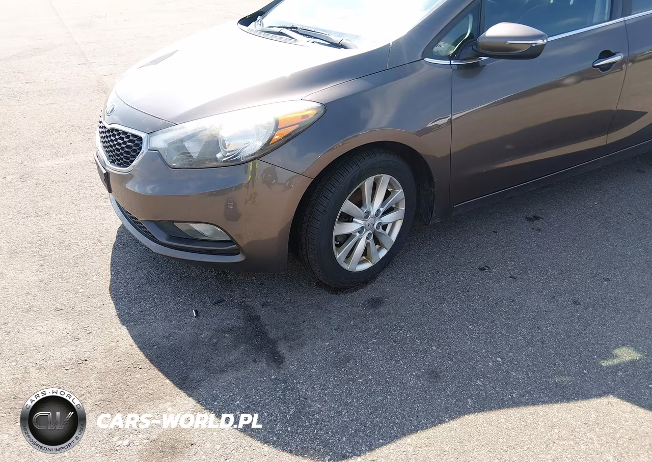 2014 Kia Forte Ex VIN:KNAFX5A86E5163248 - 6