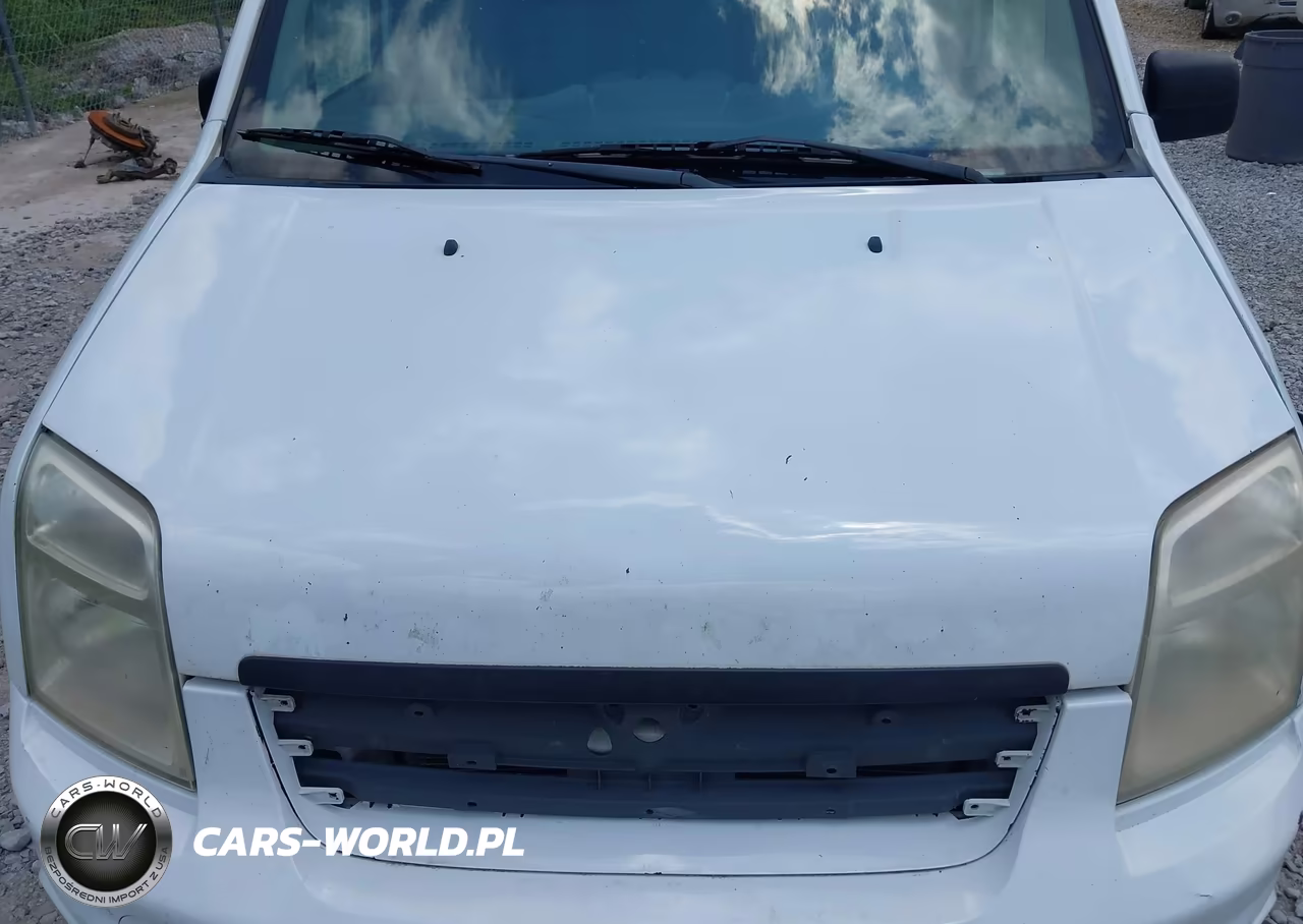 2013 Ford Transit Connect Xlt VIN:NM0LS7BN3DT156060 - 10