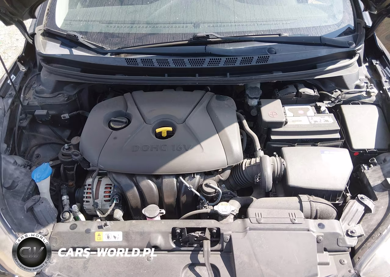 2014 Hyundai Elantra Limited VIN:KMHDH4AE5EU046138 - 10