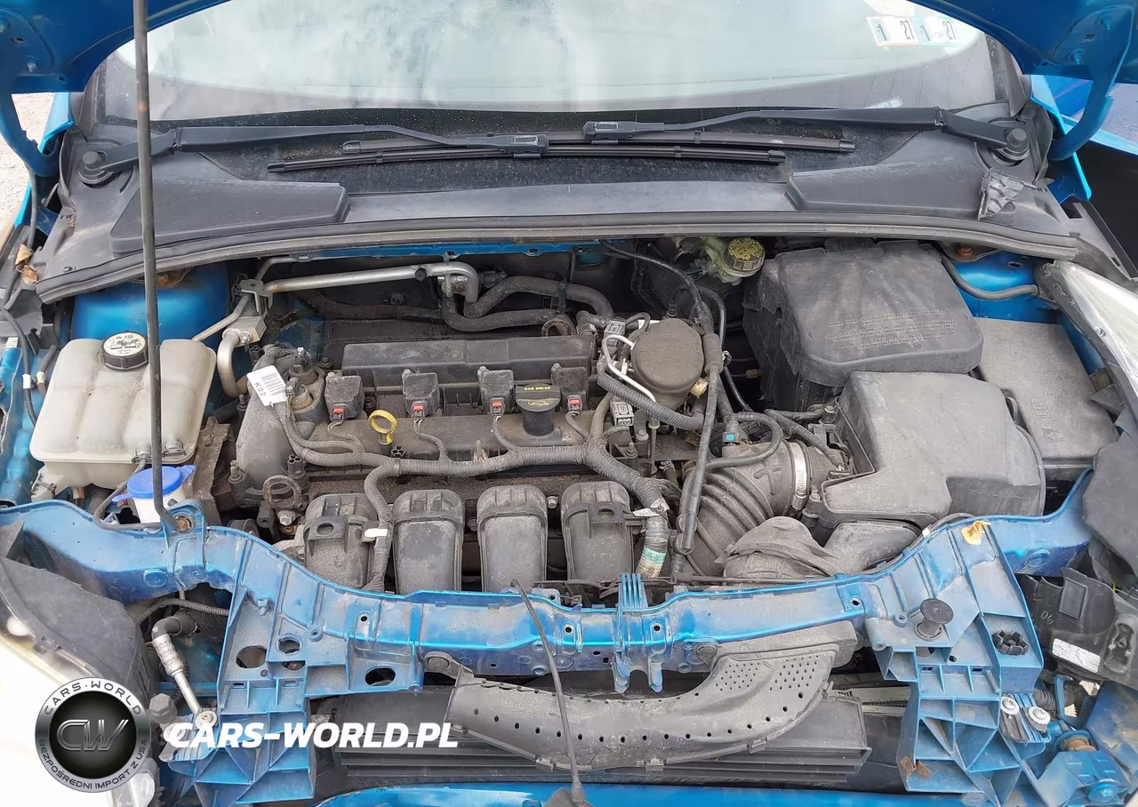 2013 Ford Focus Se VIN:1FADP3K24DL105373 - 10