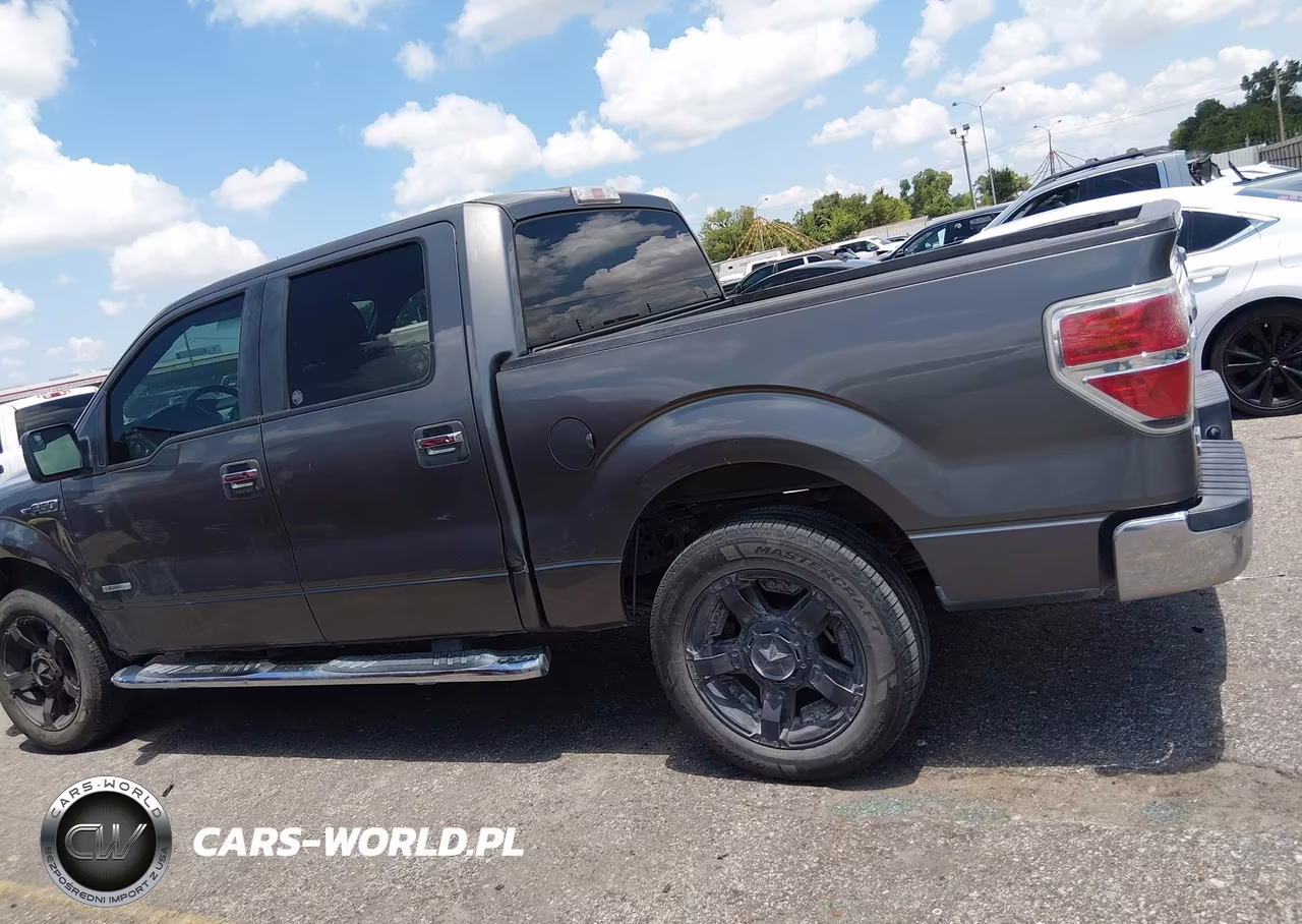 2013 Ford F-150 Fx2-King Ranch-Lariat-Limited-Platinum-Xl-Xlt VIN:1FTFW1CT4DKF78018 - 13