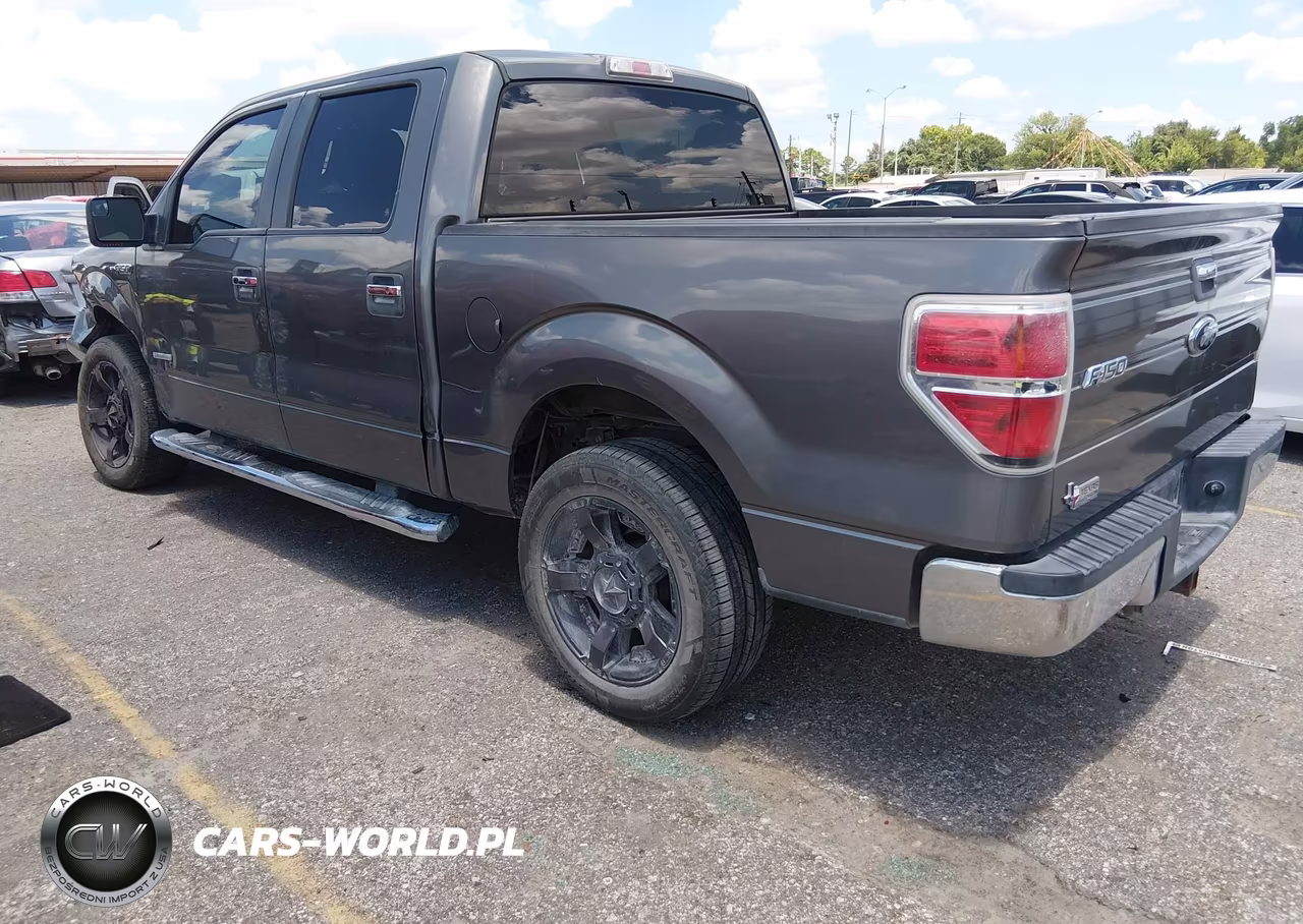 2013 Ford F-150 Fx2-King Ranch-Lariat-Limited-Platinum-Xl-Xlt VIN:1FTFW1CT4DKF78018 - 3