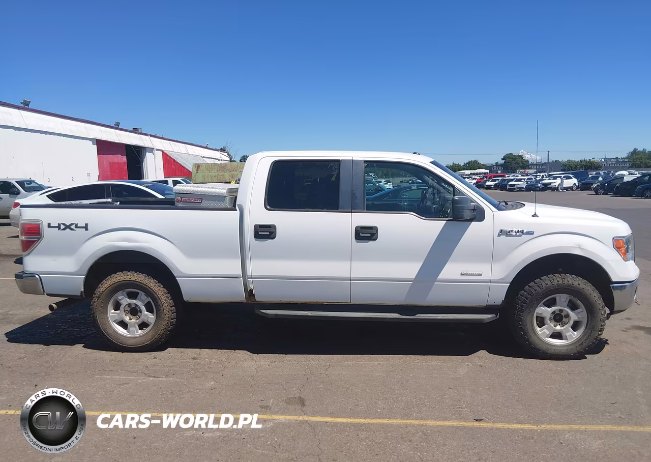 2011 Ford F-150 Fx4-King Ranch-Lariat-Platinum-Xlt VIN:1FTFW1ET9BKE19022 - 13