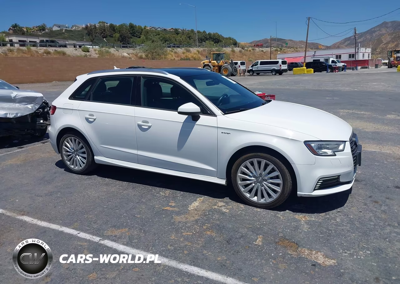 2018 Audi A3 E-Tron 1.4T Premium VIN:WAUUPBFF4JA057296 - 13