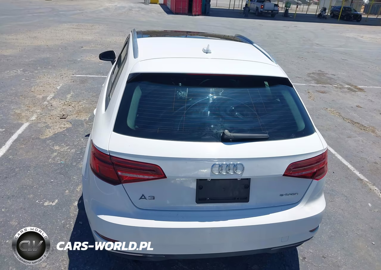 2018 Audi A3 E-Tron 1.4T Premium VIN:WAUUPBFF4JA057296 - 16