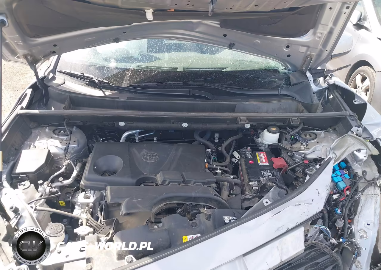 2020 Toyota Rav4 Xle VIN:2T3W1RFV0LW078924 - 10