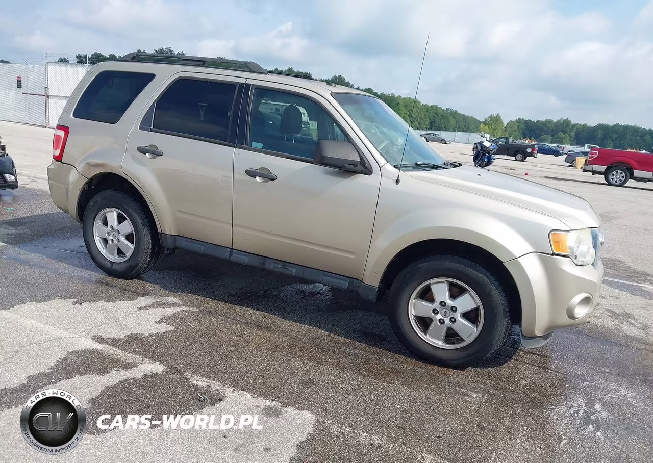 2011 Ford Escape Xlt