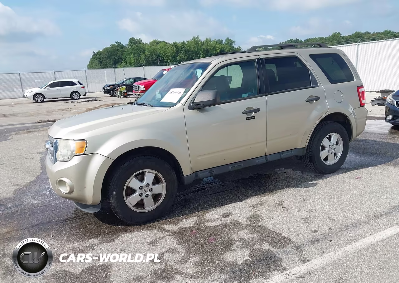 2011 Ford Escape Xlt VIN:1FMCU0D70BKB67051 - 2