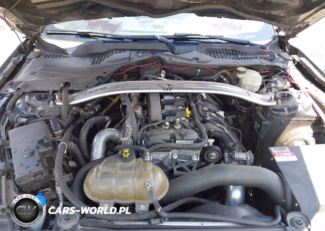 2021 Ford Mustang Ecoboost Fastback VIN:1FA6P8TH2M5127840 - 10