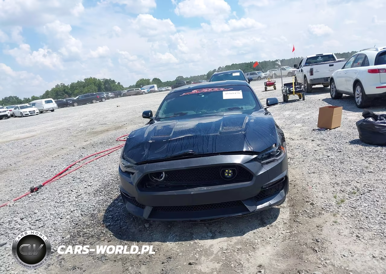 2021 Ford Mustang Ecoboost Fastback VIN:1FA6P8TH2M5127840 - 12