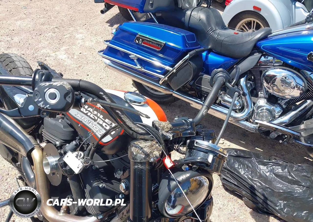 2012 Harley-Davidson Xl1200 C VIN:1HD1CT313CC450387 - 15