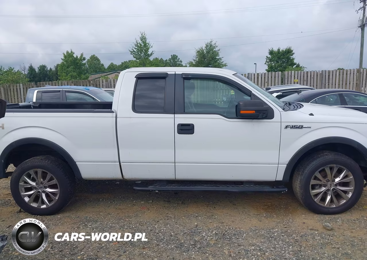 2011 Ford F-150 Xlt VIN:1FTEX1EM9BFD37401 - 13