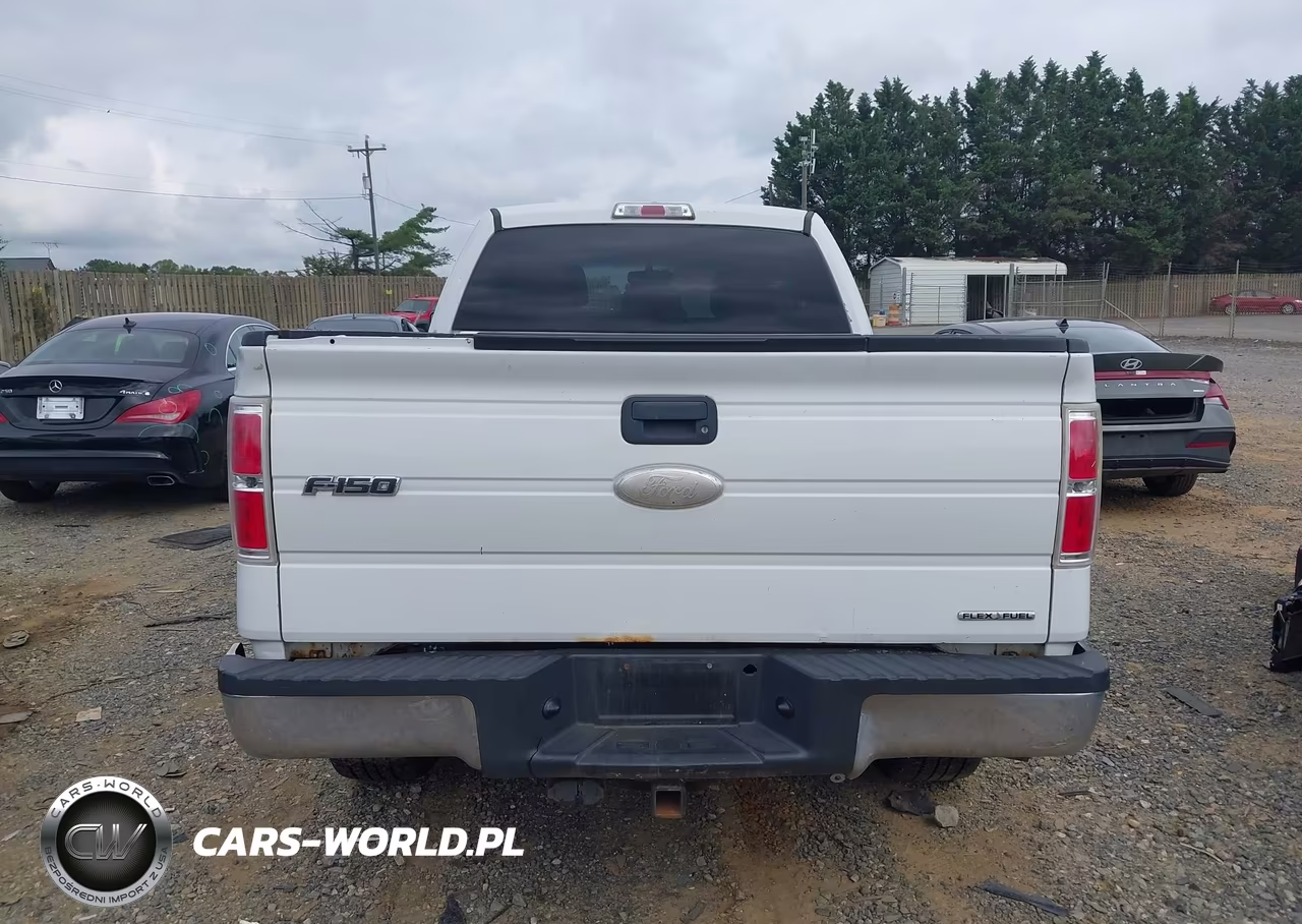 2011 Ford F-150 Xlt VIN:1FTEX1EM9BFD37401 - 16