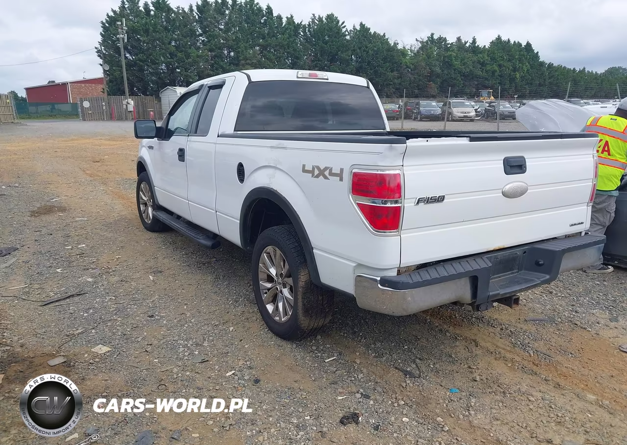 2011 Ford F-150 Xlt VIN:1FTEX1EM9BFD37401 - 3