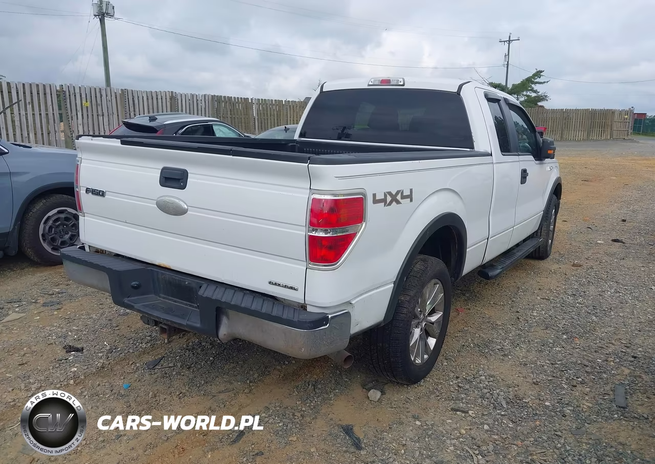 2011 Ford F-150 Xlt VIN:1FTEX1EM9BFD37401 - 4