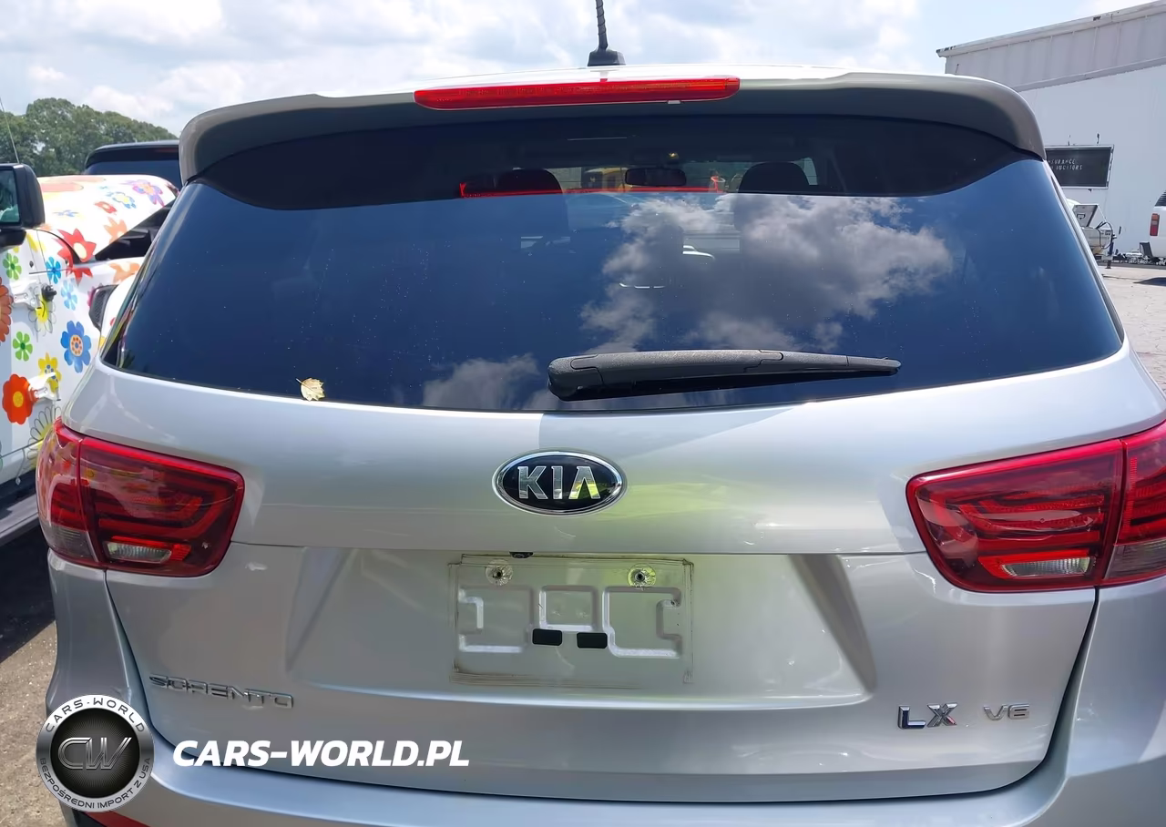 2019 Kia Sorento 3.3L Lx VIN:5XYPG4A52KG510715 - 16
