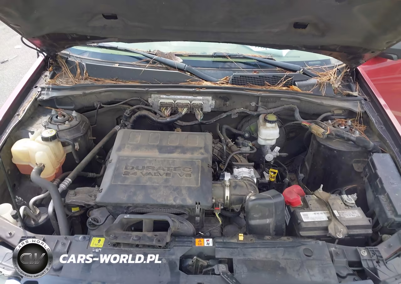 2012 Ford Escape Xlt VIN:1FMCU0DG8CKA66972 - 10