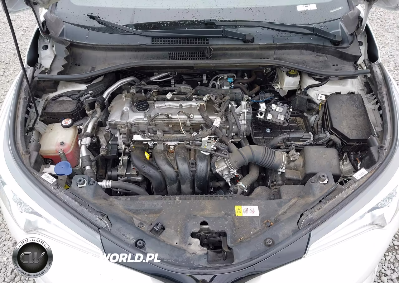 2018 Toyota C-Hr Xle VIN:NMTKHMBX1JR037476 - 10