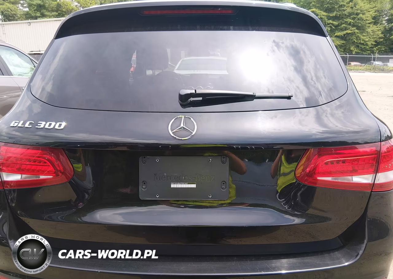 2016 Mercedes-Benz Glc 300 VIN:WDC0G4JB6GF081669 - 15