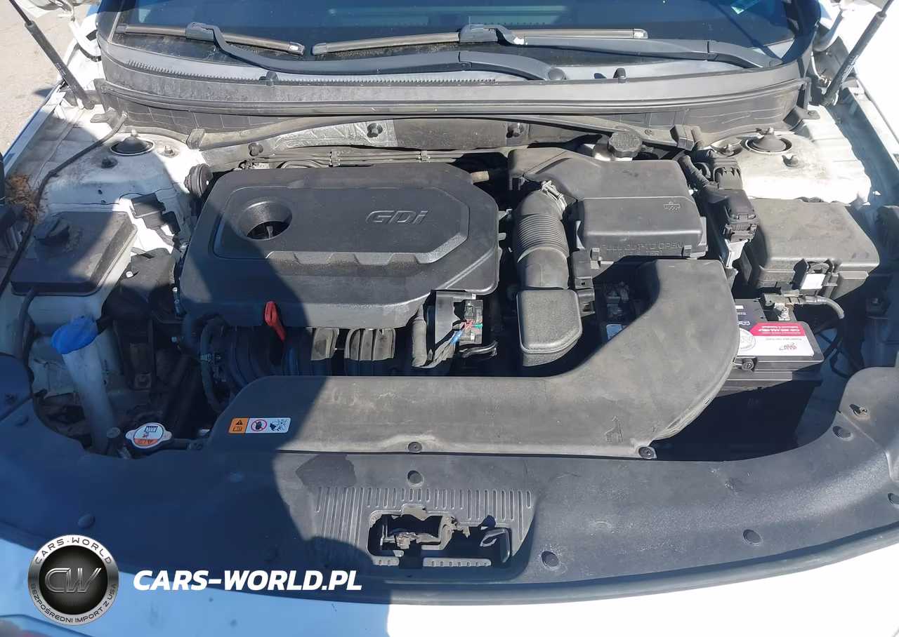 2016 Hyundai Sonata Se VIN:5NPE24AF2GH382782 - 10