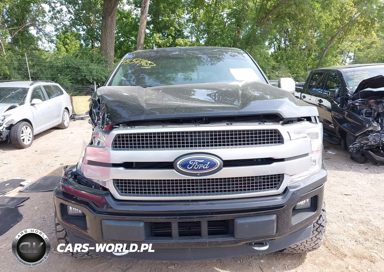 2020 Ford F-150 Platinum VIN:1FTEW1E48LFC81407 - 12