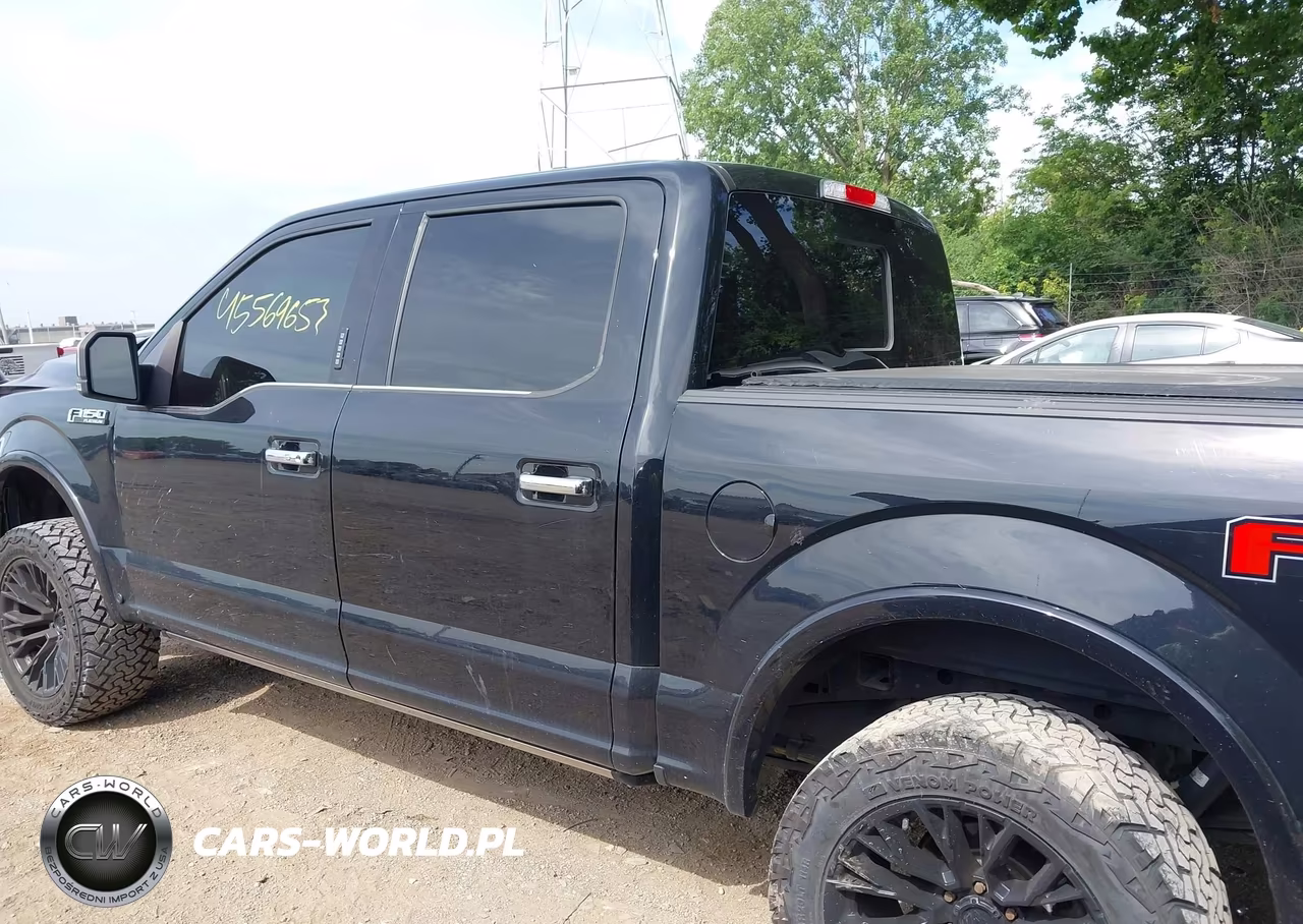 2020 Ford F-150 Platinum VIN:1FTEW1E48LFC81407 - 14