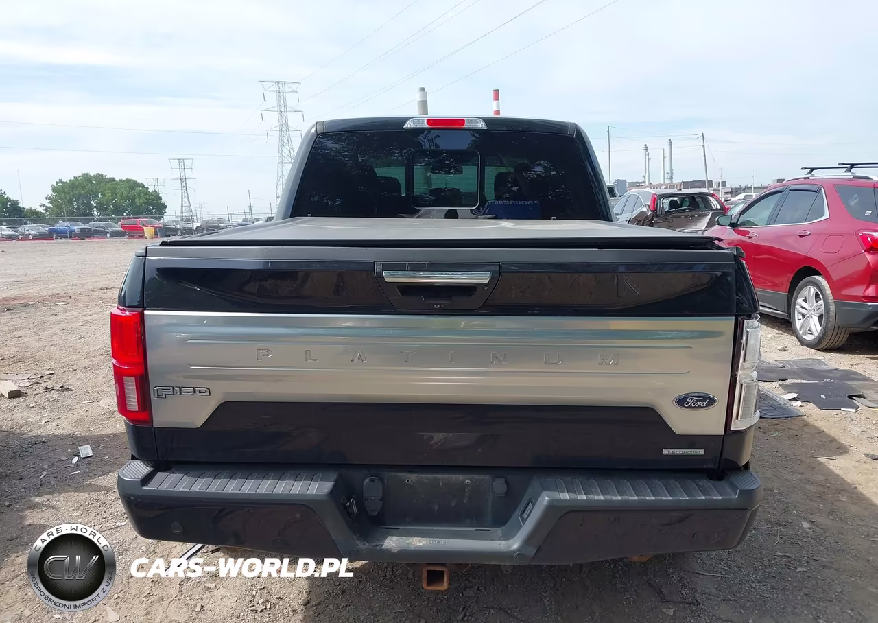 2020 Ford F-150 Platinum VIN:1FTEW1E48LFC81407 - 16