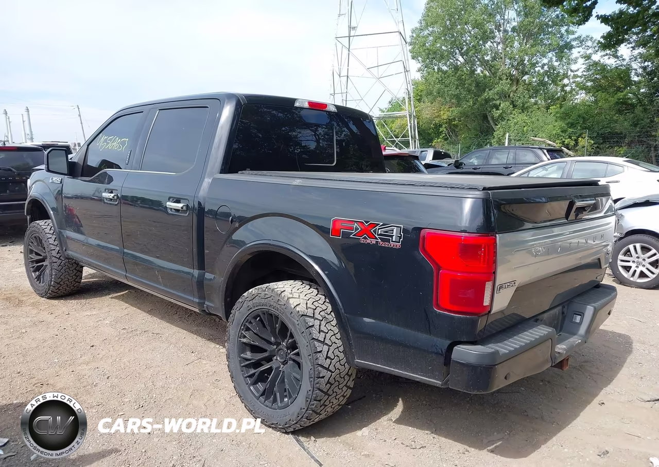 2020 Ford F-150 Platinum VIN:1FTEW1E48LFC81407 - 3